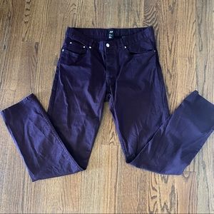 Men’s Slim Fit Plum pants